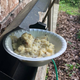 Illustration for article titled Mashed Potato Bandit Terrorizes Mississippi Neighborhood